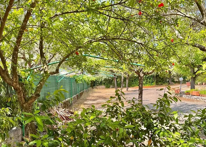 Bed & Breakfast Villaggio Alberghiero Da Pepe Marina di Camerota